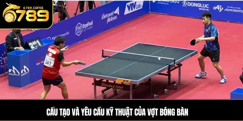 Cấu tạo và yêu cầu kỹ thuật của vợt bóng bàn