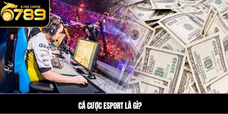 Cá cược Esport là gì?