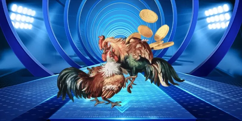 Giới thiệu về đá gà Ga6789